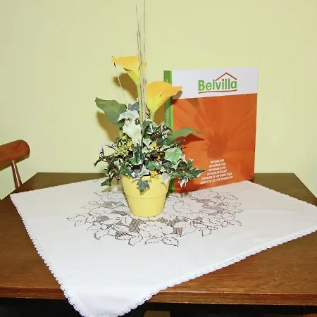 In Aschau Near Bus & Zillertal Slopes Apartment